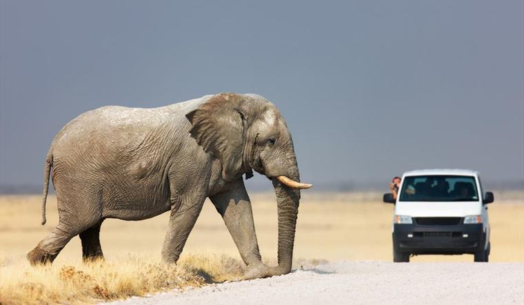 Competition Commission eases tourism fears